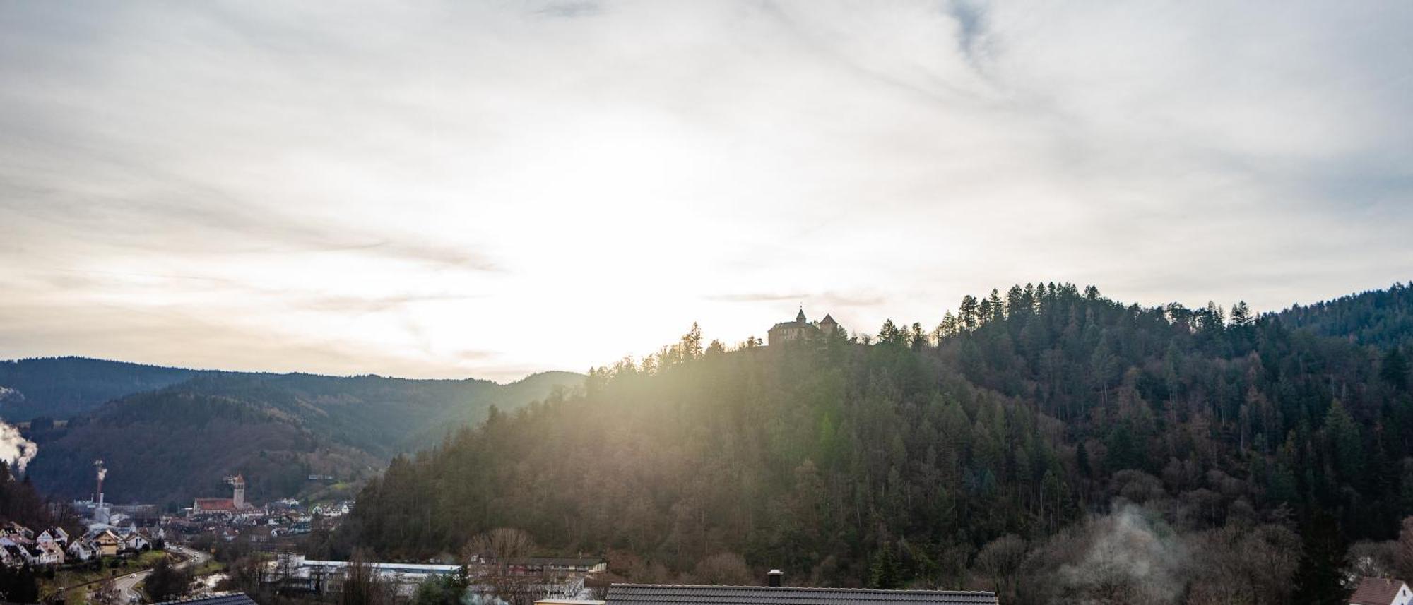 Schlossblick Schwarzwaldpanorama Гернсбах Екстериор снимка
